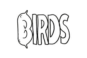 Logo och länk till Birds Record, PR kund hos Kniven PR.